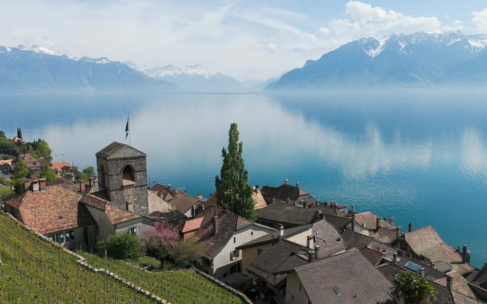 Vidéographie immobilière